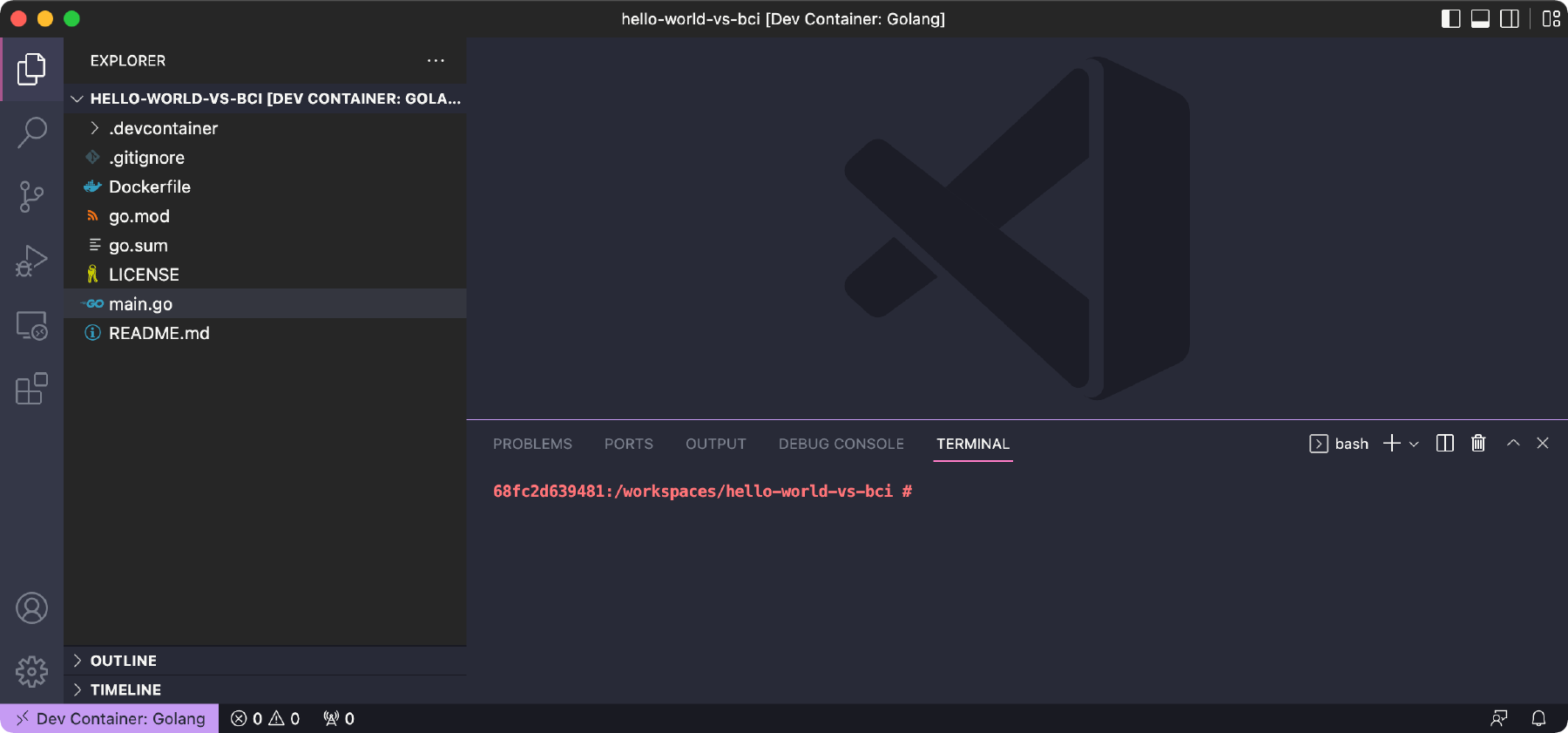 VS Code with the source mounted in a Development Container. The open terminal is a console within the container.
